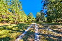 2869 Turkey Cut Road photo 4