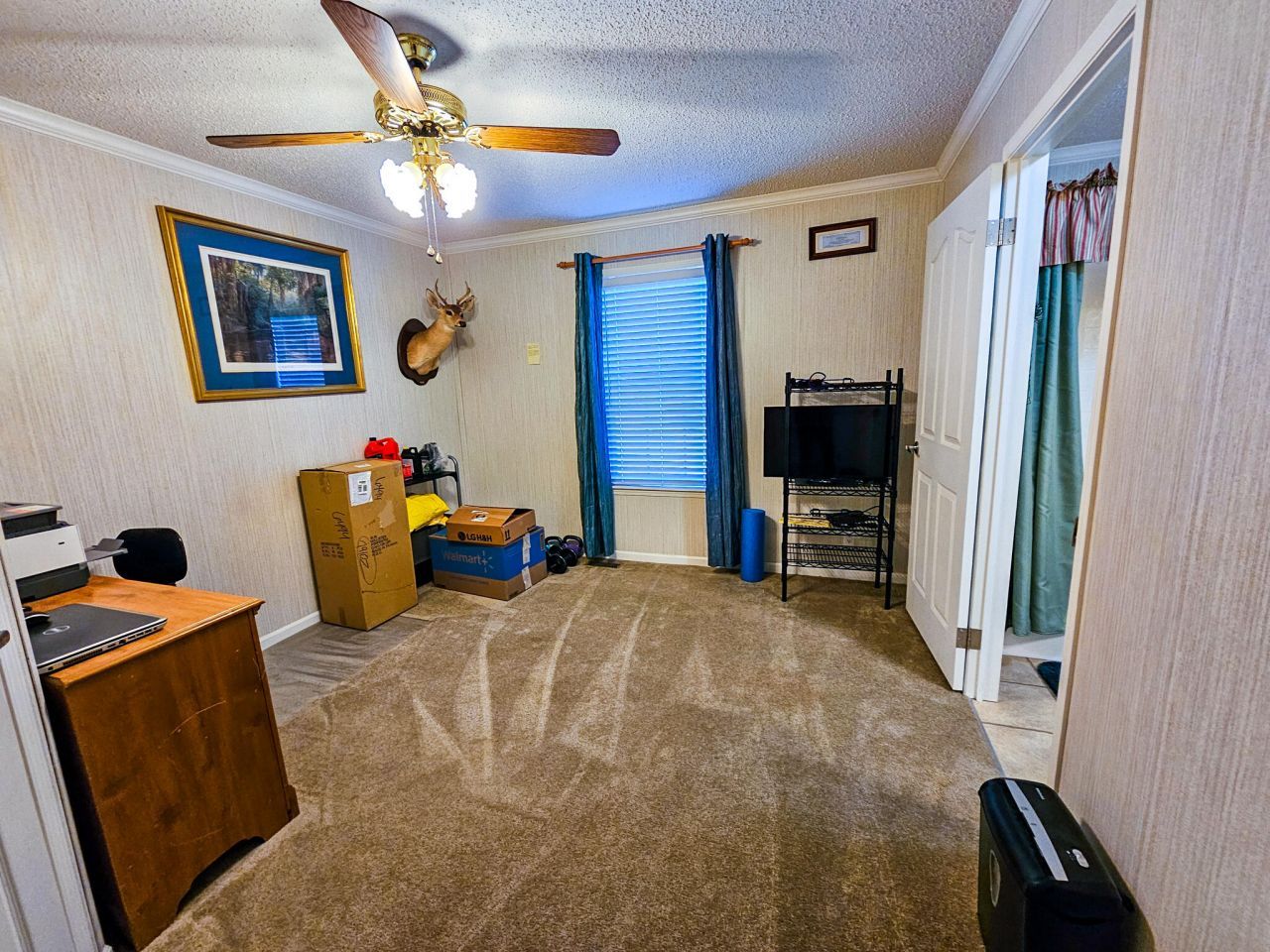 2869 Turkey Cut Road Photo 37