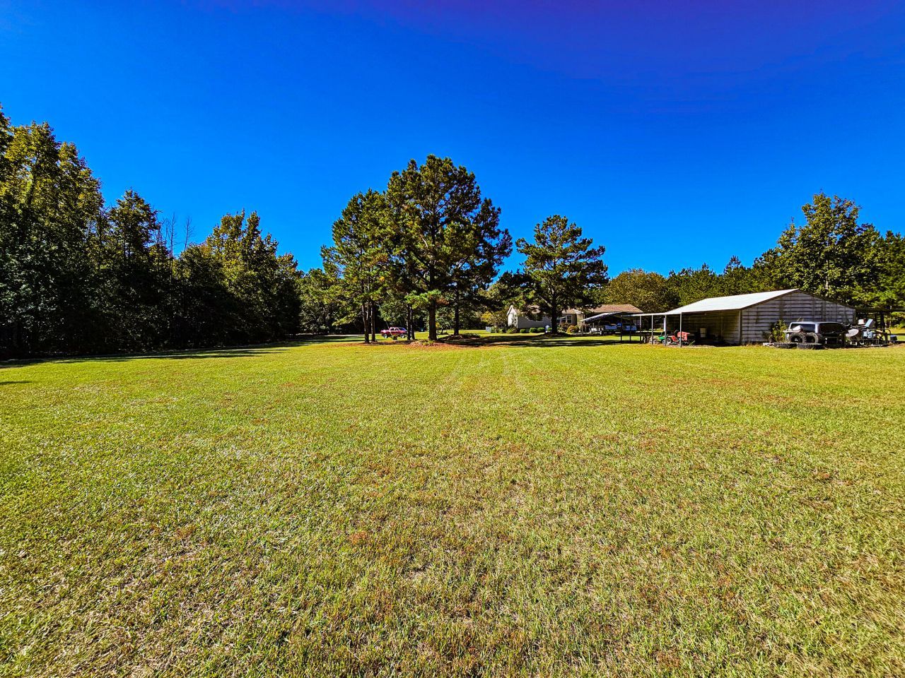 2869 Turkey Cut Road Photo 44