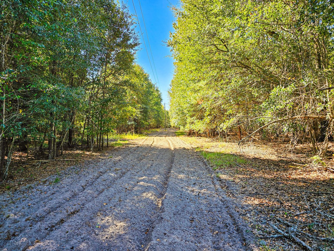 2869 Turkey Cut Road Photo 46