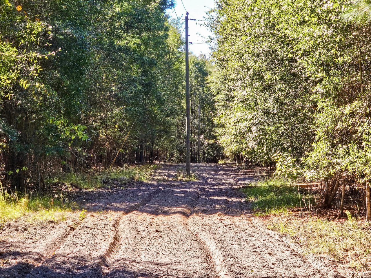 2869 Turkey Cut Road Photo 47