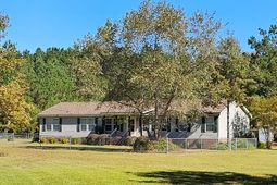 2869 Turkey Cut Road photo 4