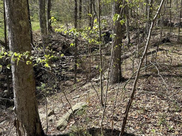 14 Hawk Mountain Drive, Sparrowbush, NY 12780