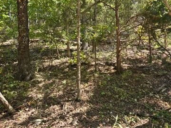 000 County Road 421, Birch Tree, MO 65438