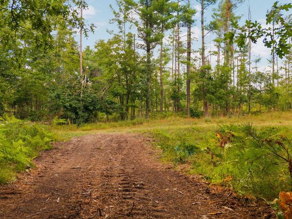 Parcel B Nuenfelt Road, Johannesburg, MI 49751