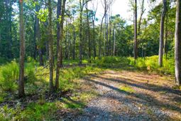 4759 Summit Plantation Rd Road photo 4