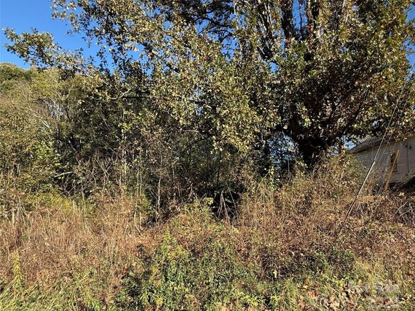 290 Mill Hill Court, Stony Point, NC 28678