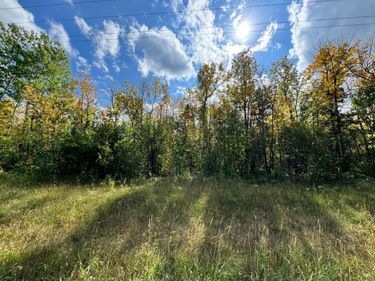 TBD 66th Street NW, Williams, MN 56686