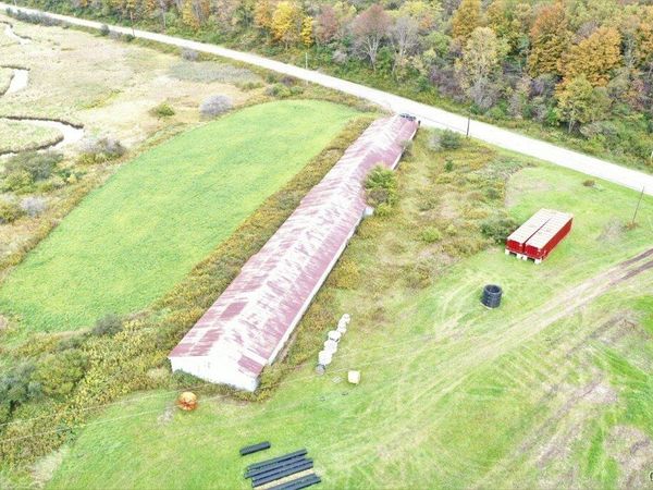 1191 State Route 248, Rexville, NY 14877