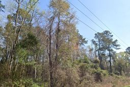 Tbd Old Wilson Rd. photo 4