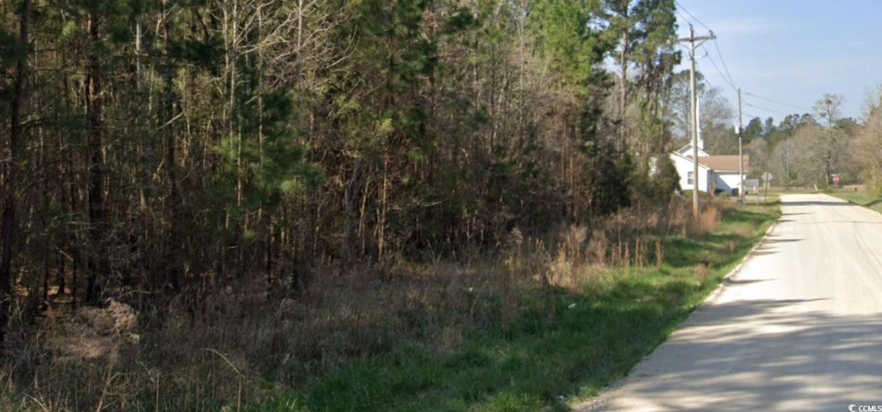 Tbd Old Wilson Rd. Photo 4