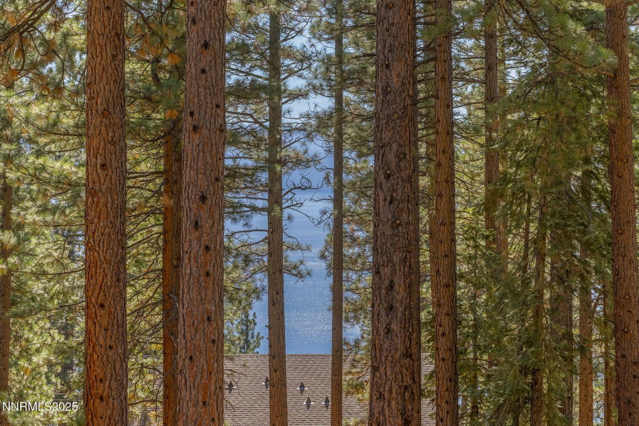 563 Tyner Way, Incline Village, NV 89451 Photo