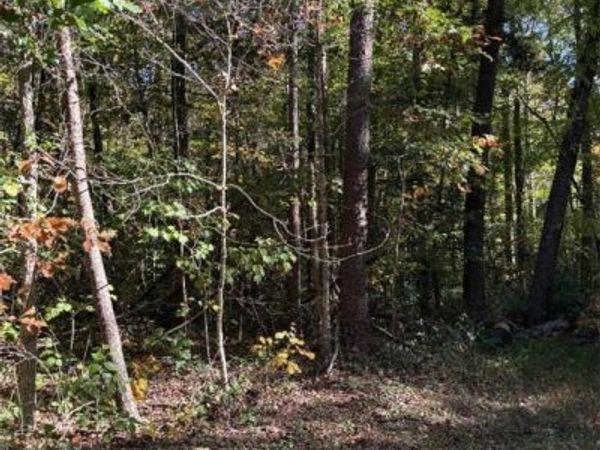 0 Stokes Station Road, Goochland, VA 23063