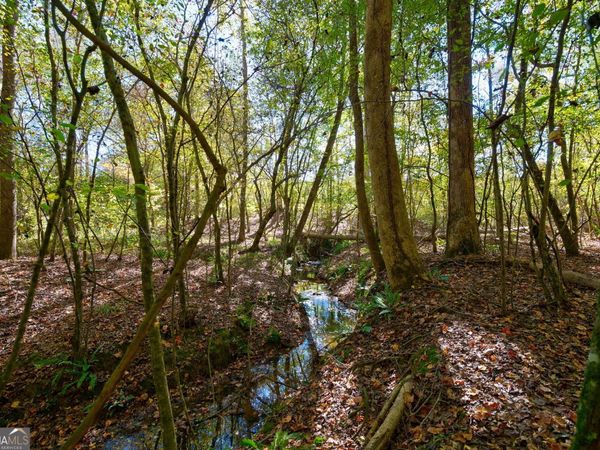 1 Bridges Road, Carlton, GA 30627