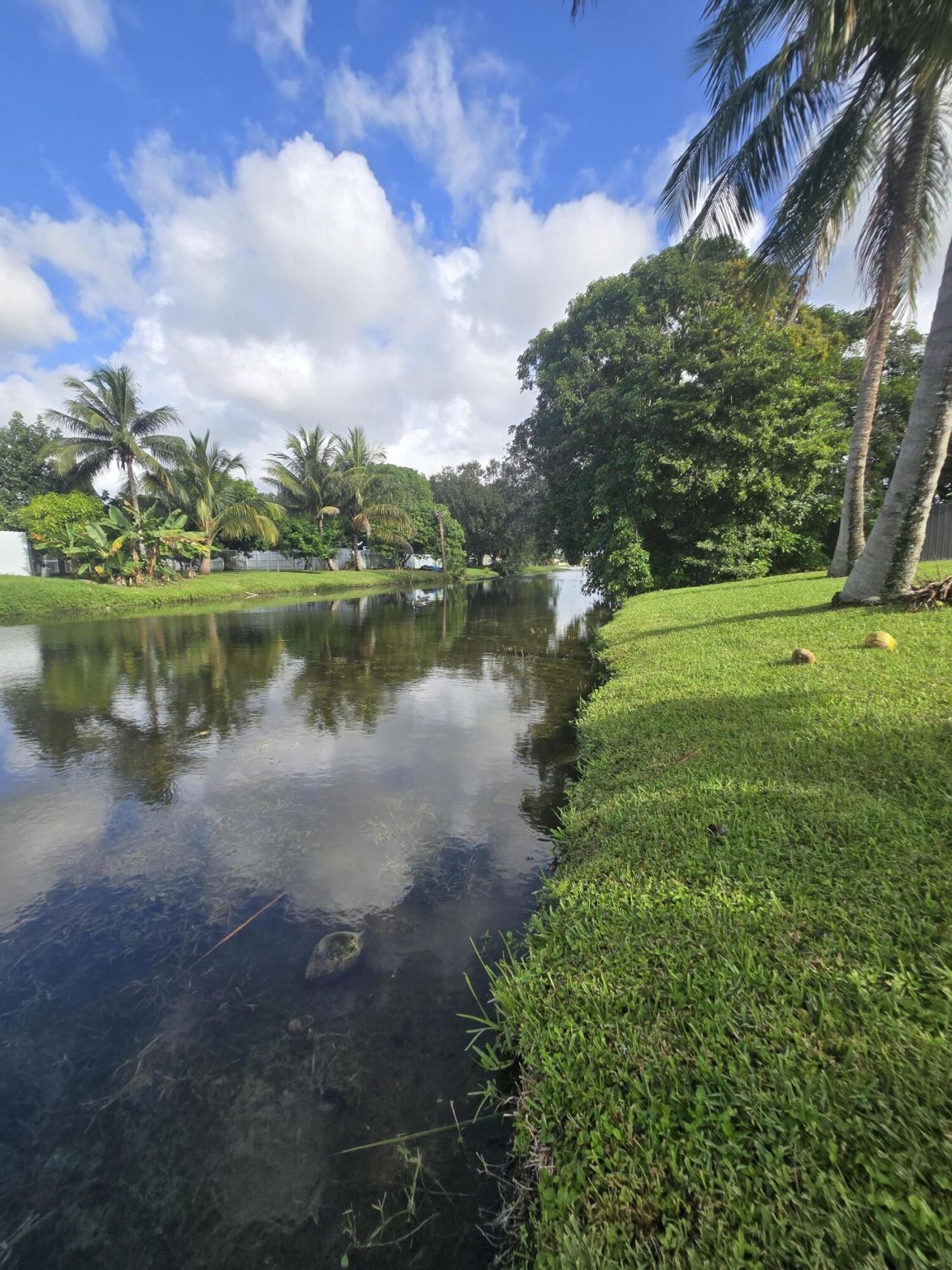 242 Las Palmas Street, Royal Palm Beach, FL 33411 Photo