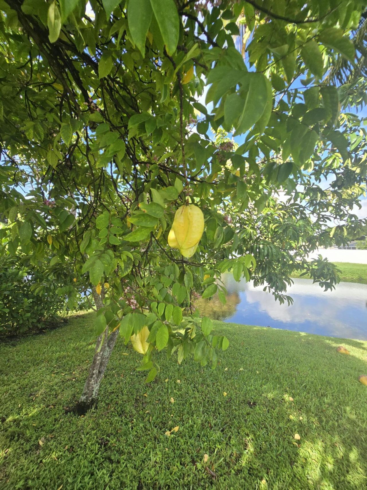 242 Las Palmas Street, Royal Palm Beach, FL 33411 Photo