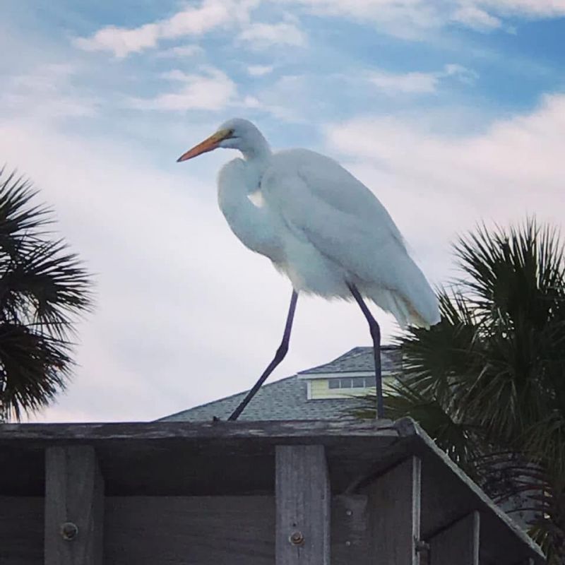 223 Sea Cloud Circle Photo 26
