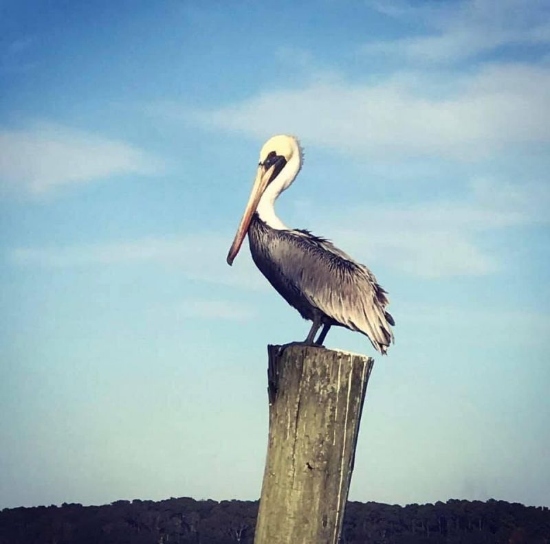 223 Sea Cloud Circle Photo 27