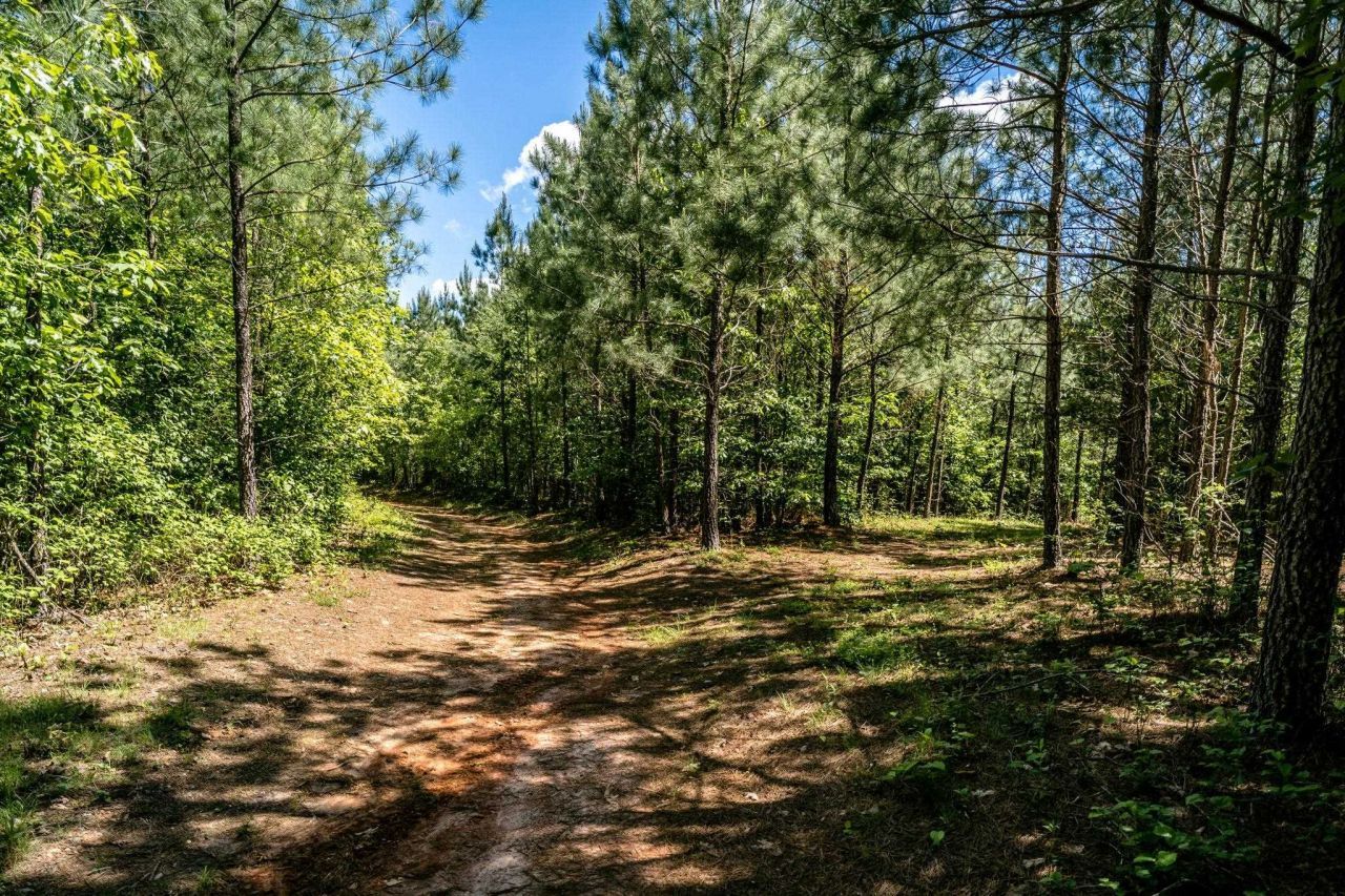 Lot 3 Green Creek Rd, Schuyler, VA 22969 Main Photo