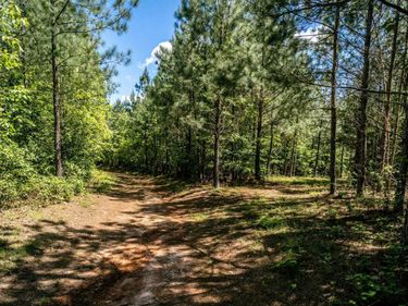 Lot 3 GREEN CREEK RD, SCHUYLER, VA 22969