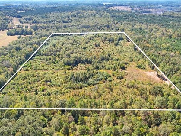 TBD CR 3201 Whitmore Rd , Omaha, TX 75571