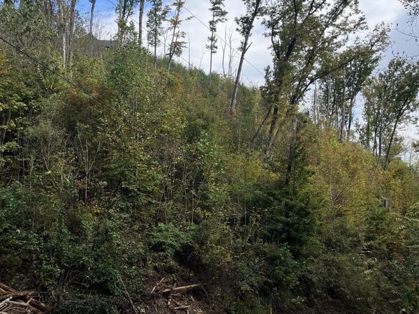 Lot 529 Deep Hollow Rd, Gatlinburg, TN 37738