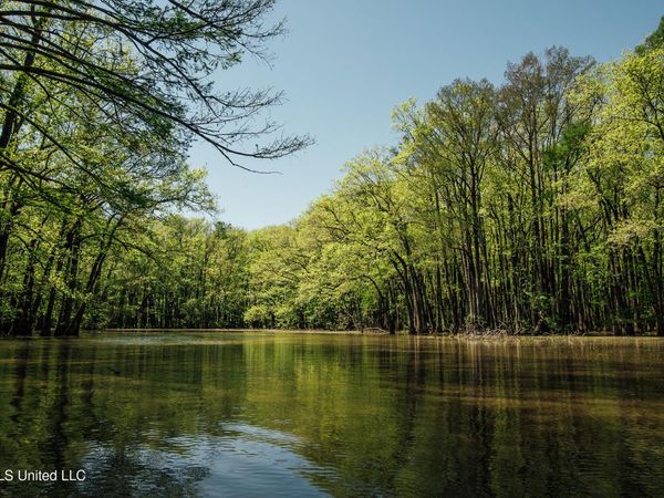 County Rd 176, Sidon, MS 38954