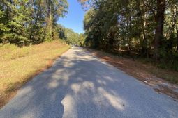 119 Pine Drive photo 4