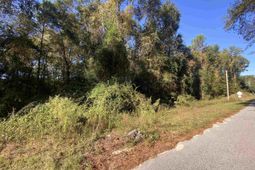 119 Pine Drive photo 4