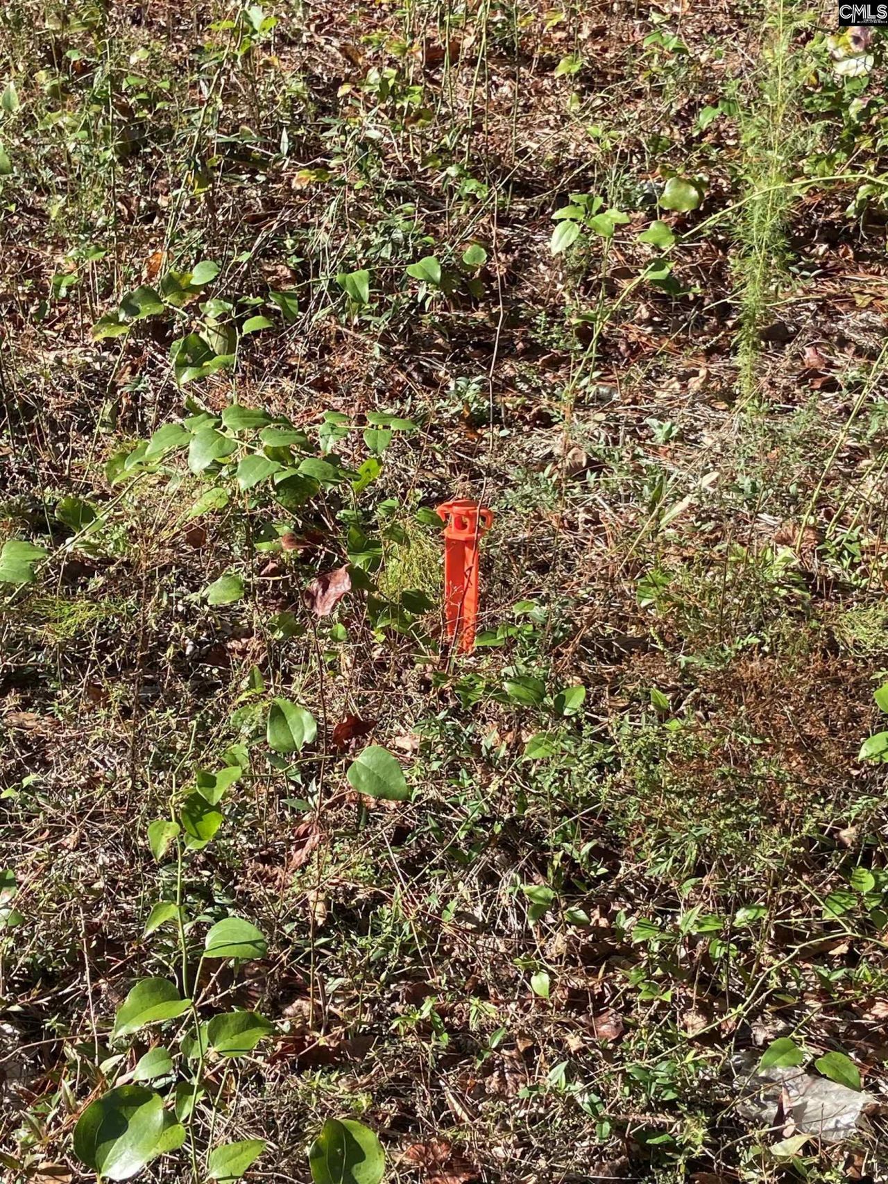 119 Pine Drive Photo 4