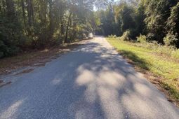 119 Pine Drive photo 4