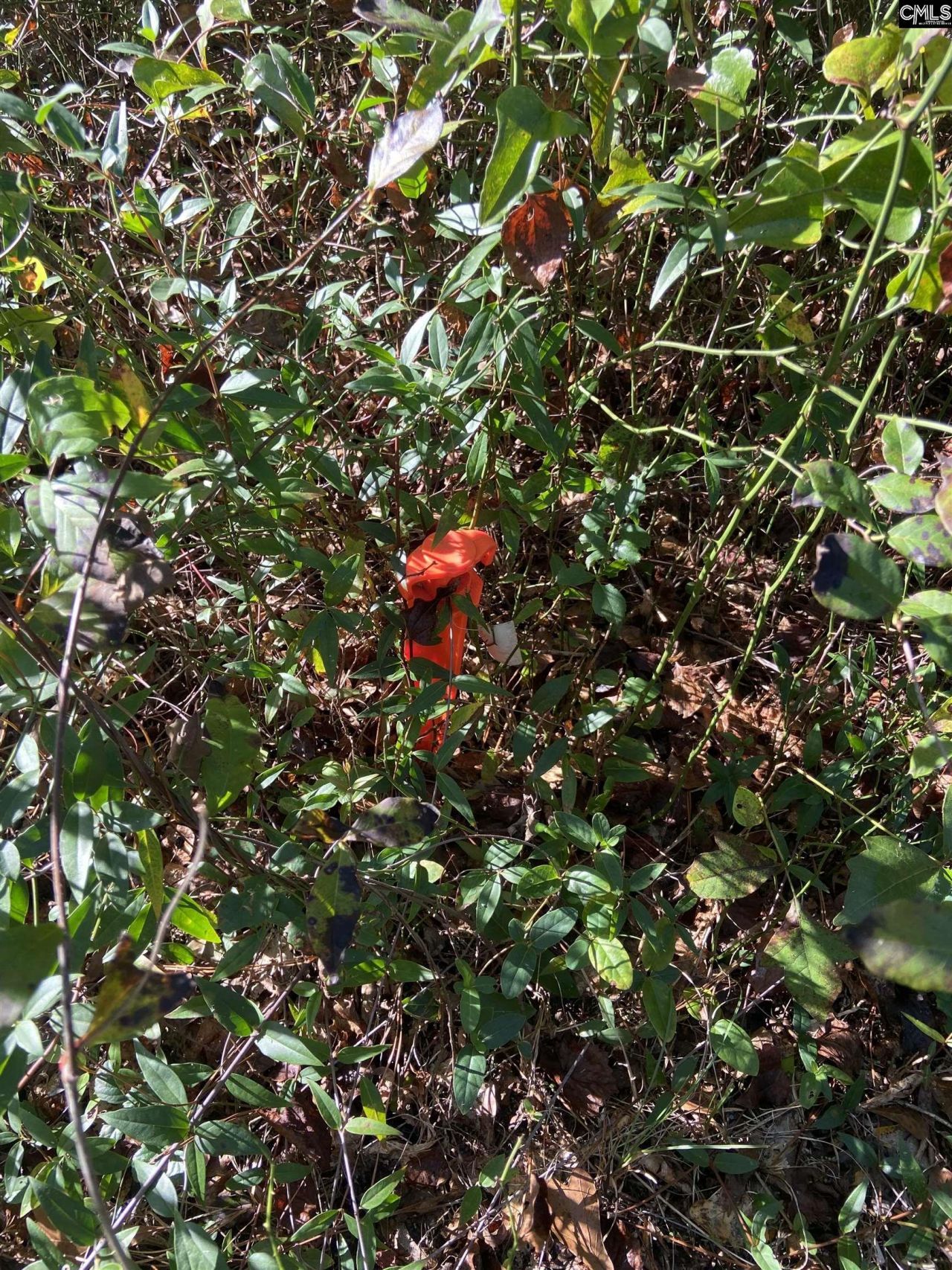 119 Pine Drive Photo 6