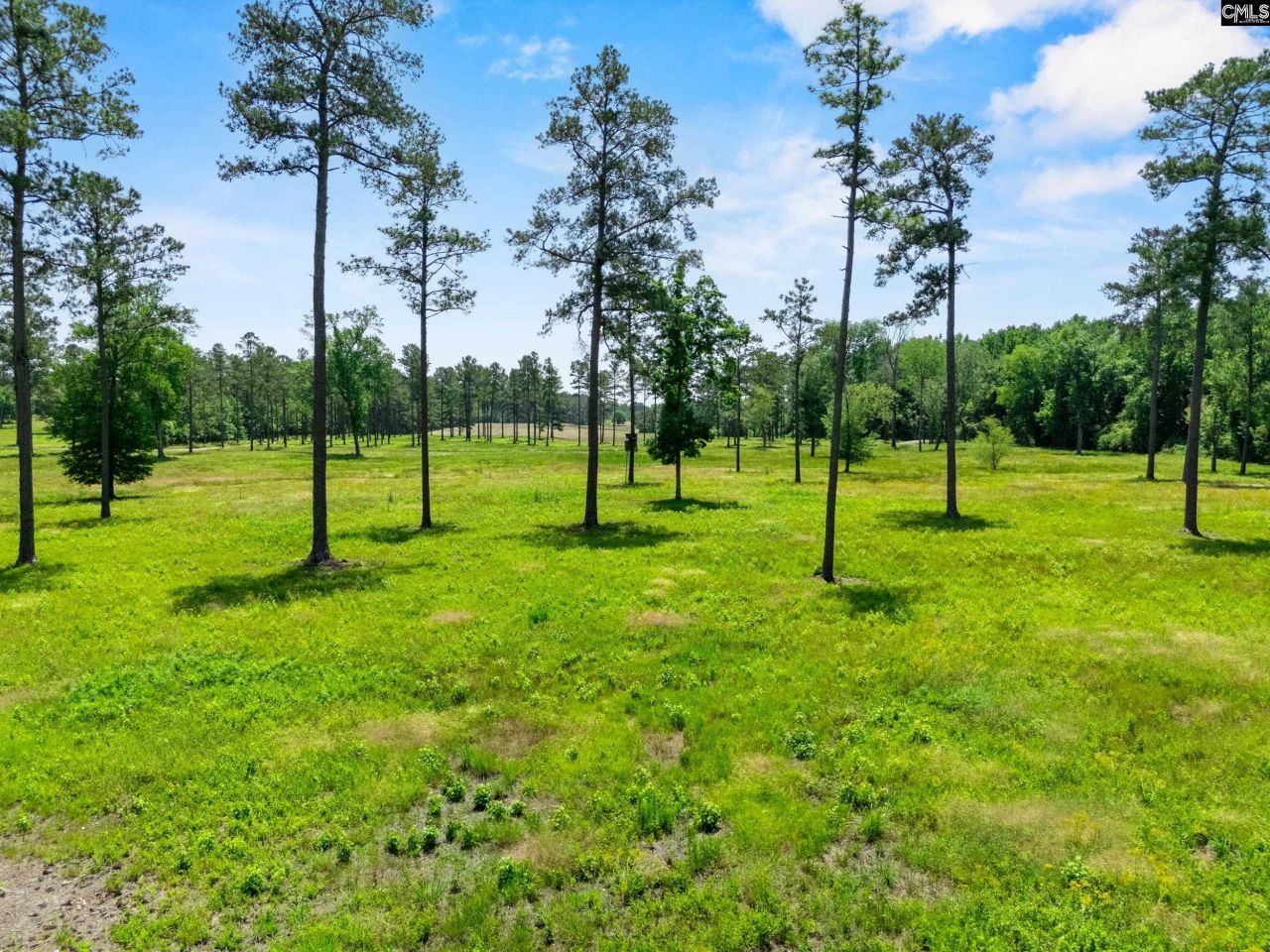 1626-01 Sumter Highway Photo 9