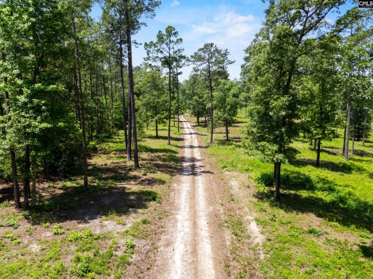 1626-01 Sumter Highway Photo 10