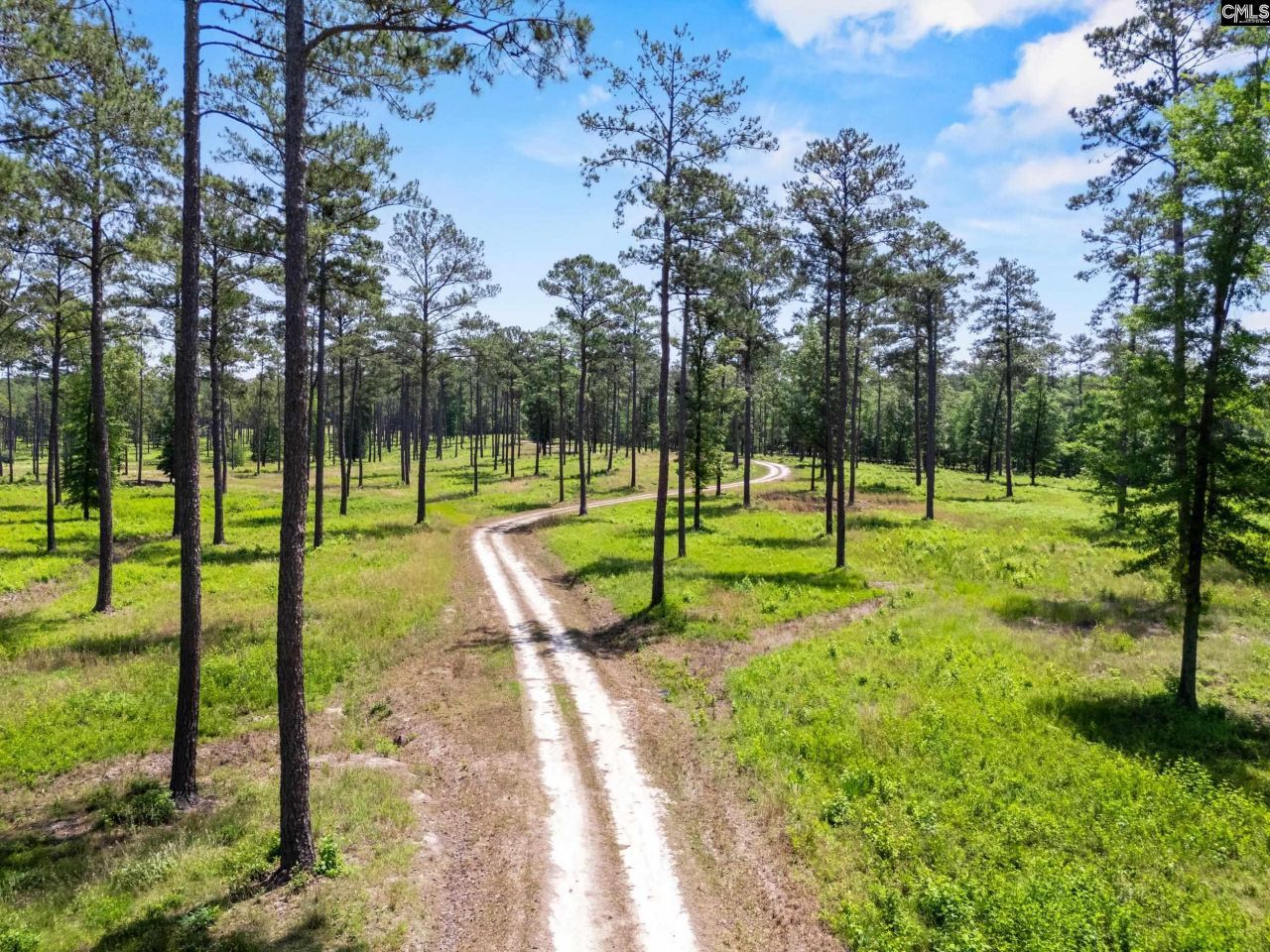 1626-01 Sumter Highway Photo 11