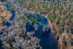 1626-01 Sumter Highway photo 4