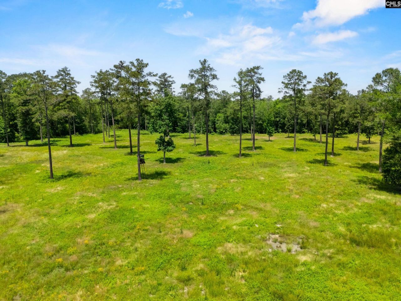 1626-01 Sumter Highway Photo 6