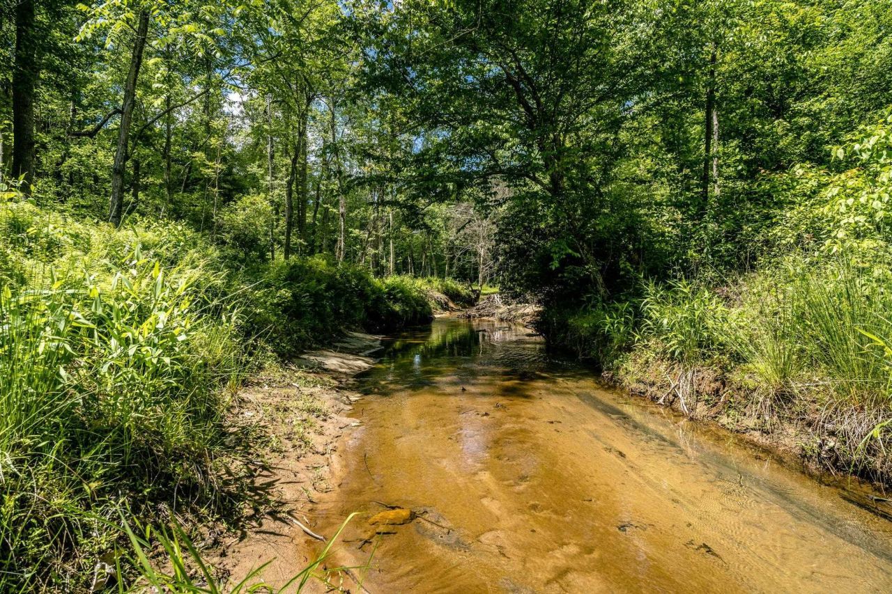 Lot 4 Green Creek Rd, Schuyler, VA 22969 Main Photo