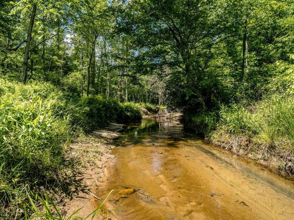 Lot 4 GREEN CREEK RD, SCHUYLER, VA 22969