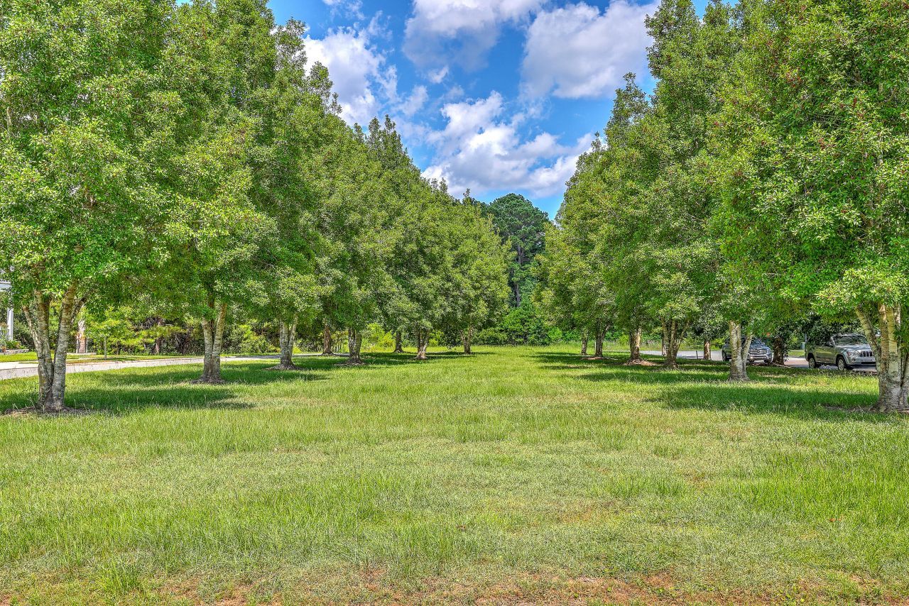 81 Red Bluff Street Photo 41