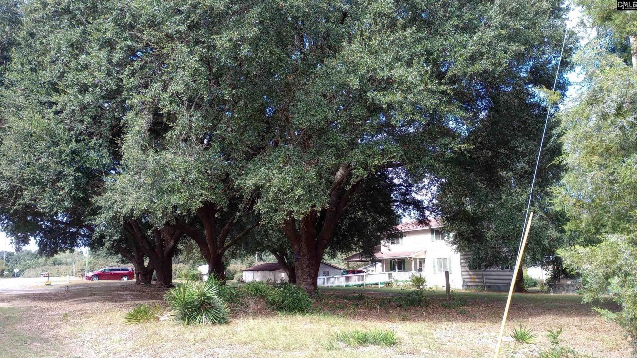 1123 Pine Street Photo 14