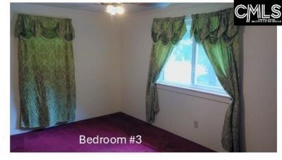 1123 Pine Street Photo 37