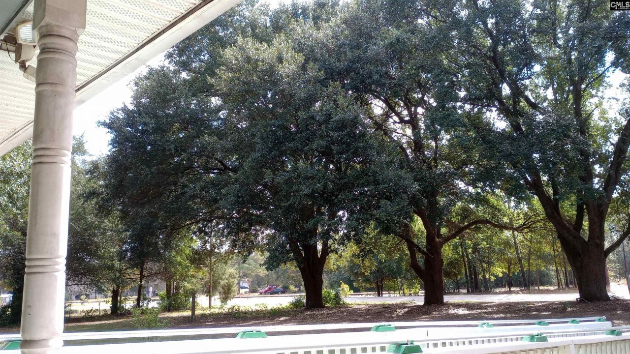 1123 Pine Street Photo 5