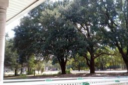 1123 Pine Street photo 4