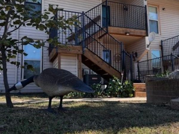 204 Falconhead, Unit F, Burneyville, OK 73430