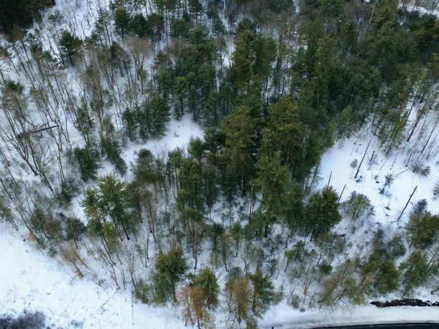 0 Pine Glen Road, Karthaus, PA 16845 Main Photo