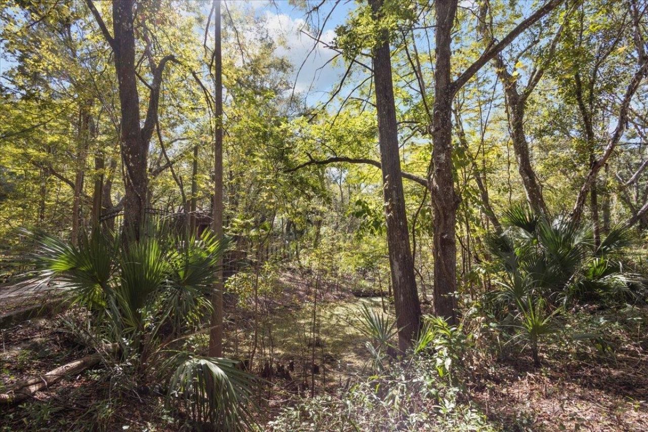 7619 Canal Avenue, Fanning Springs, FL 32693 Photo