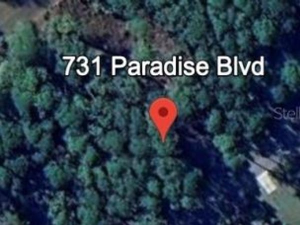 731 PARADISE BOULEVARD, GEORGETOWN, FL 32139