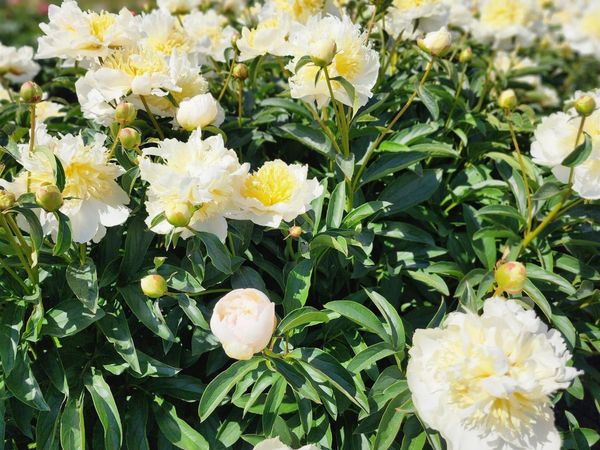 35730 20 Hwy SE, Albany, OR 97322