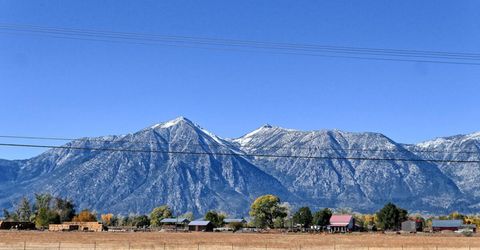 1277 U.s. Hwy 395, Gardnerville, NV 89410 Photo